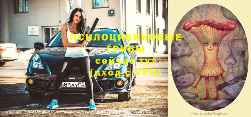 Псилоцибиновые грибы ЛСД  Орёл 